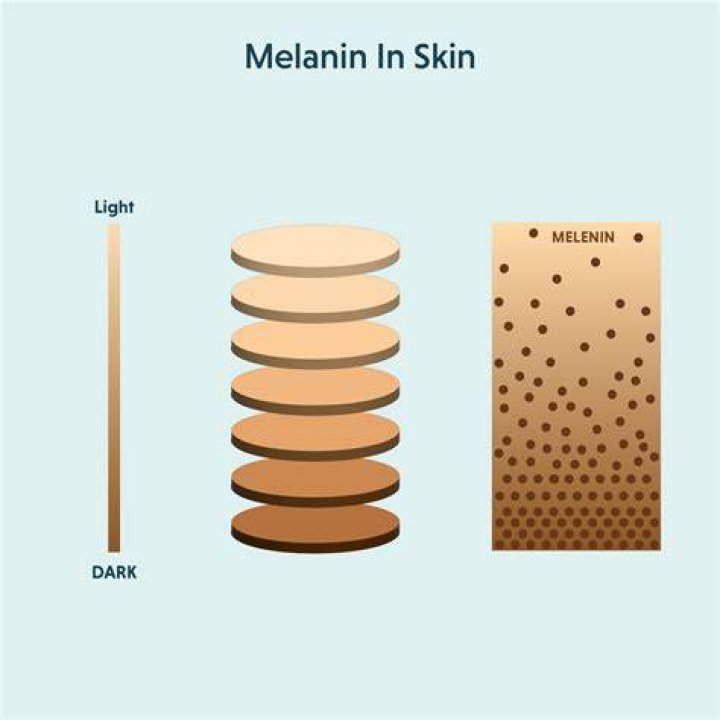 Diasy Melanin: The Hidden Pigments Behind Your Garden's Brightest Blooms