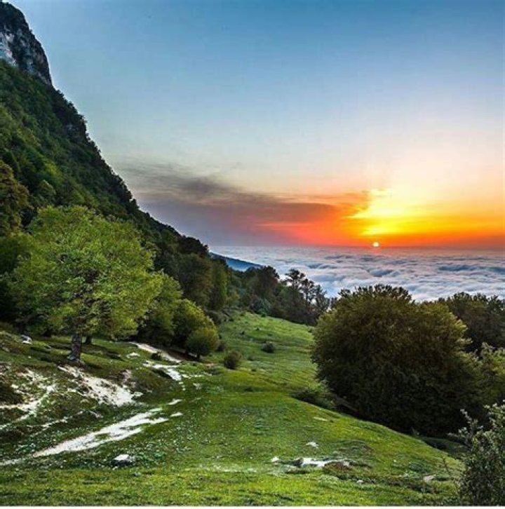 Discovering Shomal Iran: Your Next Unforgettable Getaway