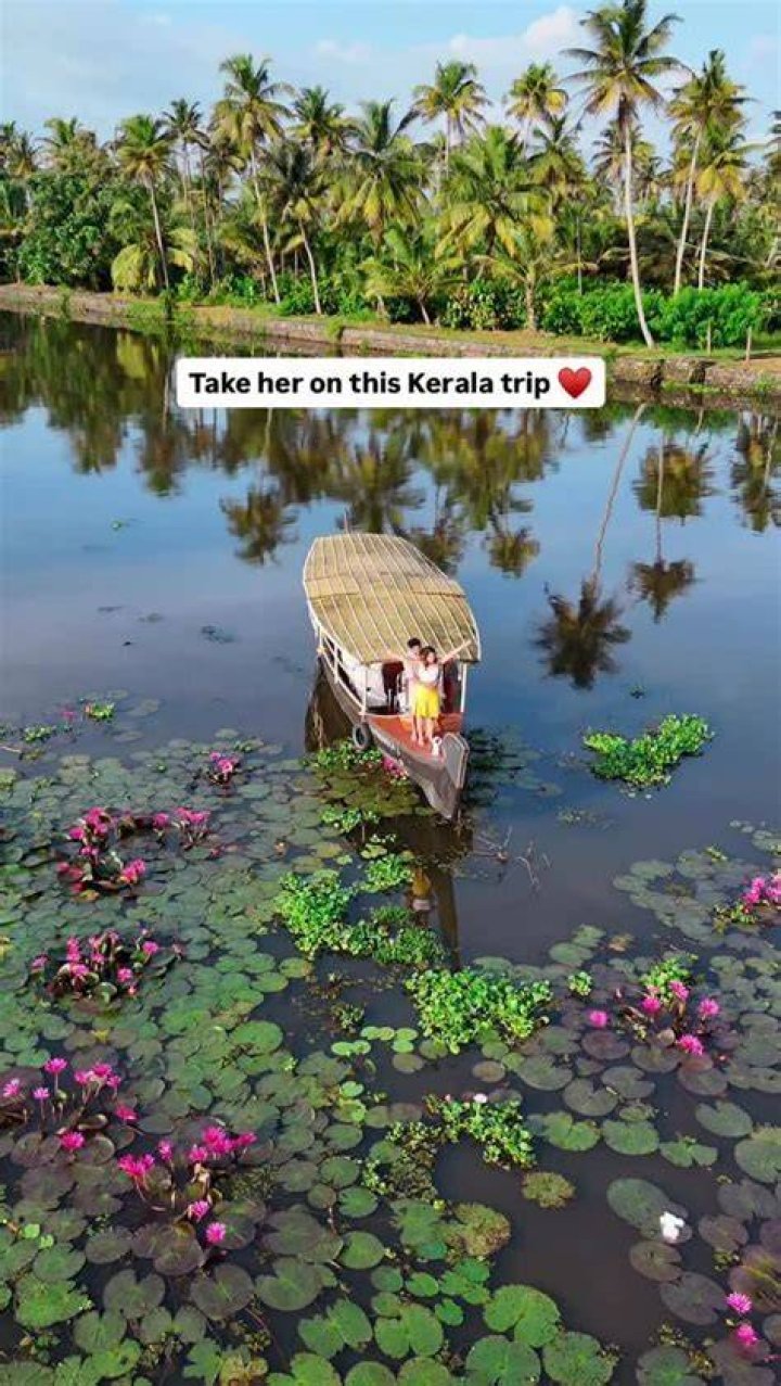 Exploring mallu videos.org: Your Guide to Kerala's Digital Scene