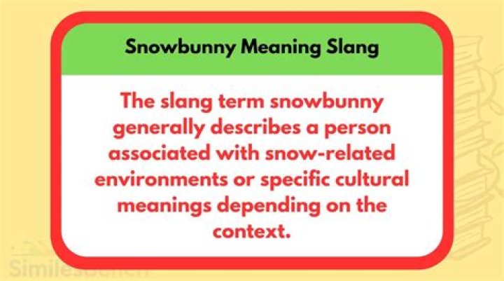 Exploring the Snowbunny Meaning Slang: Its History and Modern Interpretations