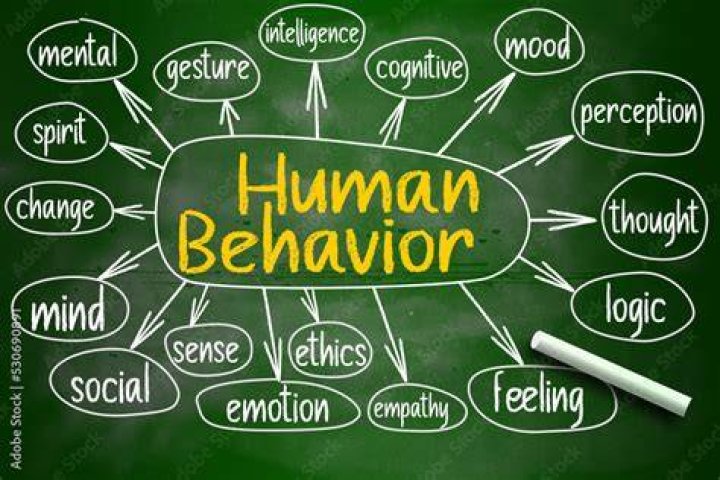 viealkand: Unpacking the Tools for Understanding Human Behavior Today